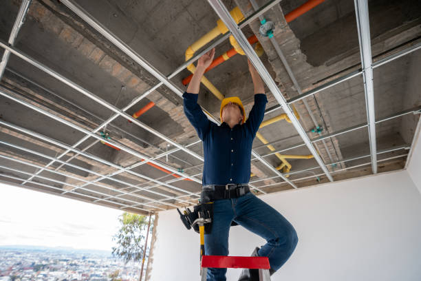 Best Affordable Plumber Near Me  in Washington Park, IL