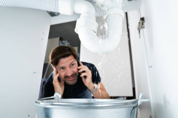 Best Clogged Drain Plumber  in Washington Park, IL